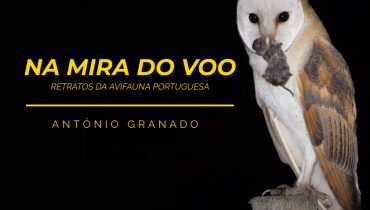 Na Mira do Voo exposição|Exposição Na Mira do Voo