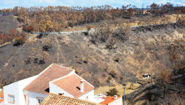 Odeceixe_apos incendio_set 23_er (6)