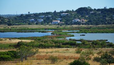 Passeio na Lagoa dos Salgados Junho 2017 -6|Passeio na Lagoa dos Salgados Junho 2017 -4