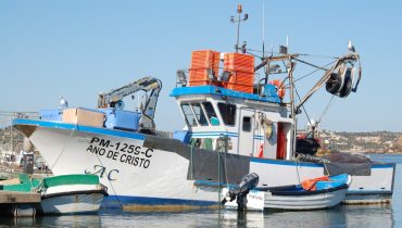 Pescas_er_1 (Custom)