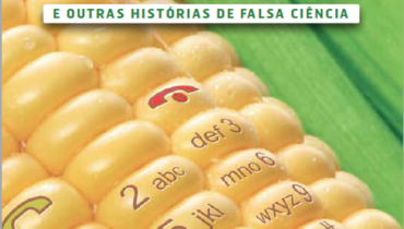 Pipocas