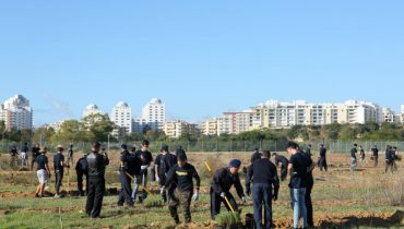 Plantação Árvores Portimão 2018_1|Plantação Árvores Portimão 2018_2|Plantação Árvores Portimão 2018_6|Plantação Árvores Portimão 2018_4|Plantação Árvores Portimão 2018_5|Plantação Árvores Portimão 2018_3