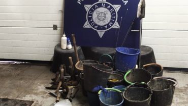 Polícia Marítima apreende 30kg de bivalves na Ria Formosa