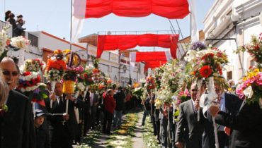 Procissão Aleluia|A preparação da festa requer muito trabalho e matéria prima|Na procissão os homens cantam Aleluia|O rosmanhinho e outras ervas dão cheiro à festa 2|O rosmanhinho e outras ervas dão cheiro à festa 3|O rosmanhinho e outras ervas dão cheiro à festa|Os moldes usados para fazer os tapetes de flores|São flores como estas já sem pé que são usadas para fazer as passadeiras|Vítor Guerreiro e Carmen Baltasar|Vitor Guerreiro|Tocha Florida_São Brás Alportel|Passadeira_Festa Tochas Floridas