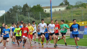 Projeto Mega Sprinter6