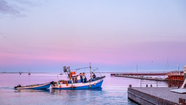 RIA FORMOSA_PESCA_TRAINEIRA_BARCO_PESCADORES_ILHA DA CULATRA_4|ILHA DA CULATRA_12|assinatura_protocologo_ilha_da_culatra_fc-42|assinatura_protocologo_ilha_da_culatra_fc-39|assinatura_protocologo_ilha_da_culatra_fc-37|assinatura_protocologo_ilha_da_culatra_fc-18
