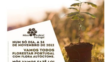 Reflorestação Mata Nacional VRSA