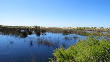 Reserva Natural Local da Foz do Almargem e do Trafal (4)