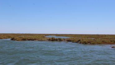Ria Formosa.MC