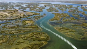 Ria Formosa|ETAR Faro Noroeste|Cais T Olhão_CM Olhão