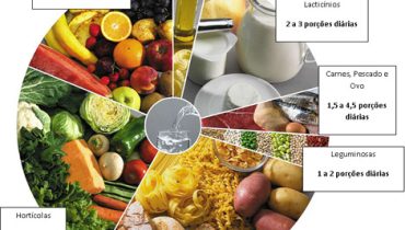 Roda dos Alimentos