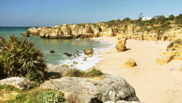 S. Rafael|Salgados