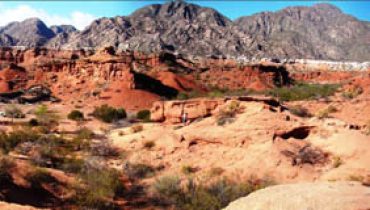 SANAGASTA|Ovos de dinossauro fossilizados
