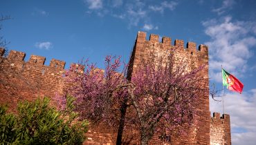 SILVES_CASTELO_8|Programa SEEA