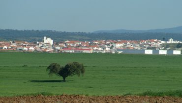 Safara