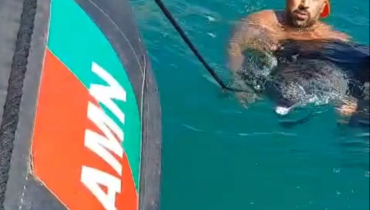 Salvamento Golfinho Senhora da Rocha