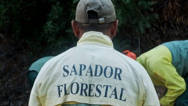 Sapadores Florestais (1)