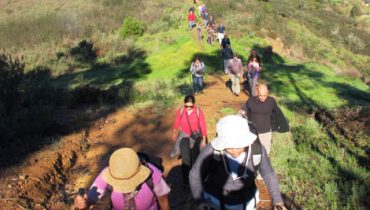 Via Algarviana - D.R.