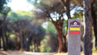 ViaAlgarviana_AssociacaoAlmargem|ViaAlgarviana_ST4_Almargem