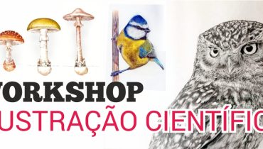 Workshop ilustração ccv algarve
