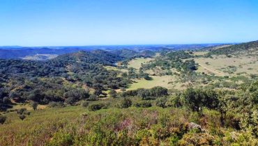 ZEC da Cabrela