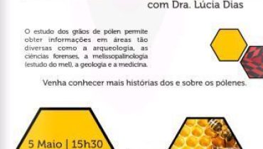 abelhas imagem