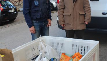 af algarve_banco alimentar