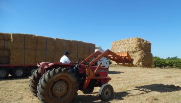 agricultores incendio
