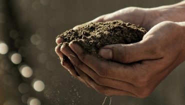 agricultura