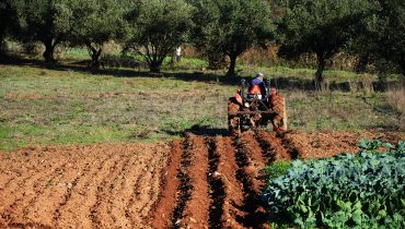 agricultura_agricultura familiar_er_01