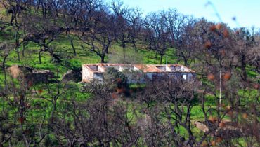 água de tábuas|casa ardida porto carvalhoso