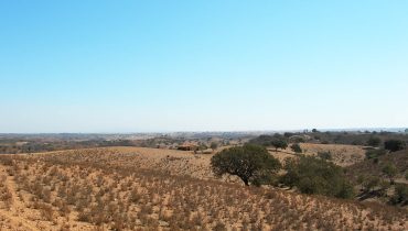 area com um elevado grau de suscepibilidade à desertificação - Serra de Mértola 1|tabela|mapa
