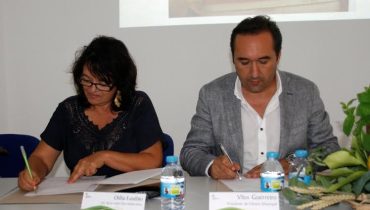 associação_1|associação_2