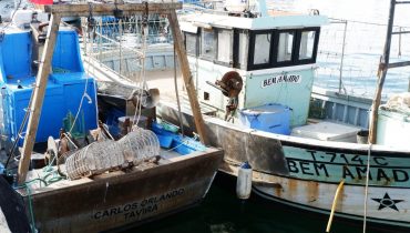 barcos da pesca da ganchorra_porto de olhao_hr_05