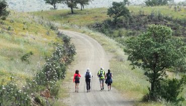 caminhos santiago alentejo ribatejo
