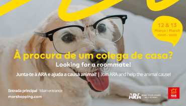 campanha adoção responsável