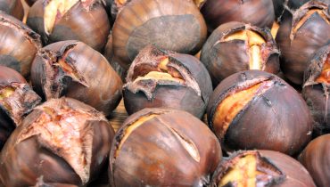 Roasted chestnut.