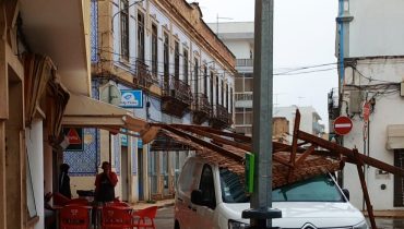 chuva olhao aline|queda de arvore