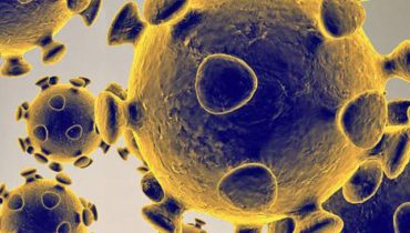 coronavirus covid (5)