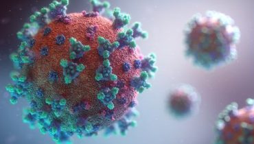 coronavirus poligrafo|poligrafo crianças|grávida poligrafo|mascaras poligrafo|Fumadora poligrafo|Multibancopoligrafo1
