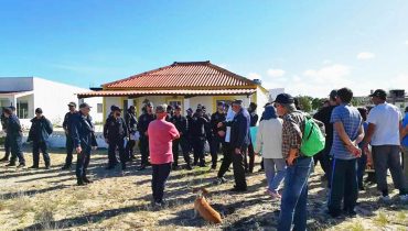demolições ria formosa