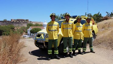 equipa_intervencaoflorestalCM (3)