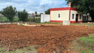 escola algoz floresta