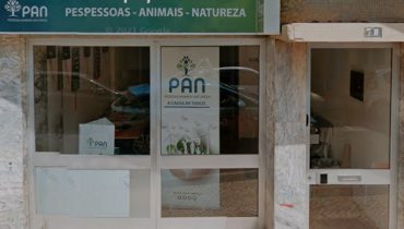 espaço PAN em Faro