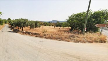 estrada guilhim