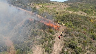 exercicio-incendios-rurais-loule-4