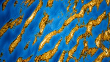 View of a background texture of golden water.