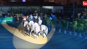 fatacil equestre