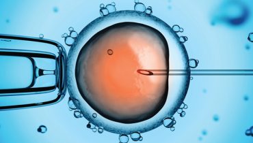 fertilidade_procriação medicamente assistida_fertilizacao in vitro