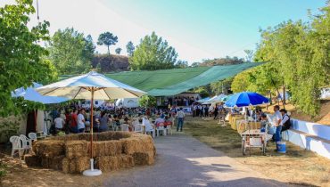 festa barrosas